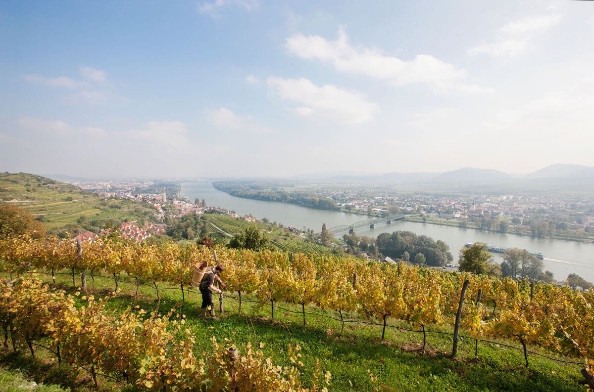 dieNikolai - Bio-Traubenkosmetik aus der Wachau